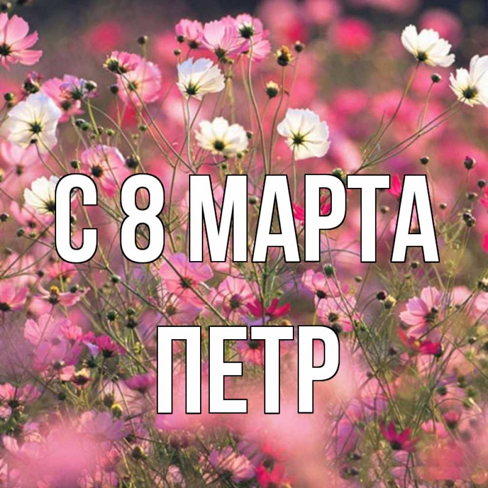 Открытка на каждый день с именем, Петр С 8 МАРТА красиво 1 Прикольная открытка с пожеланием онлайн скачать бесплатно 