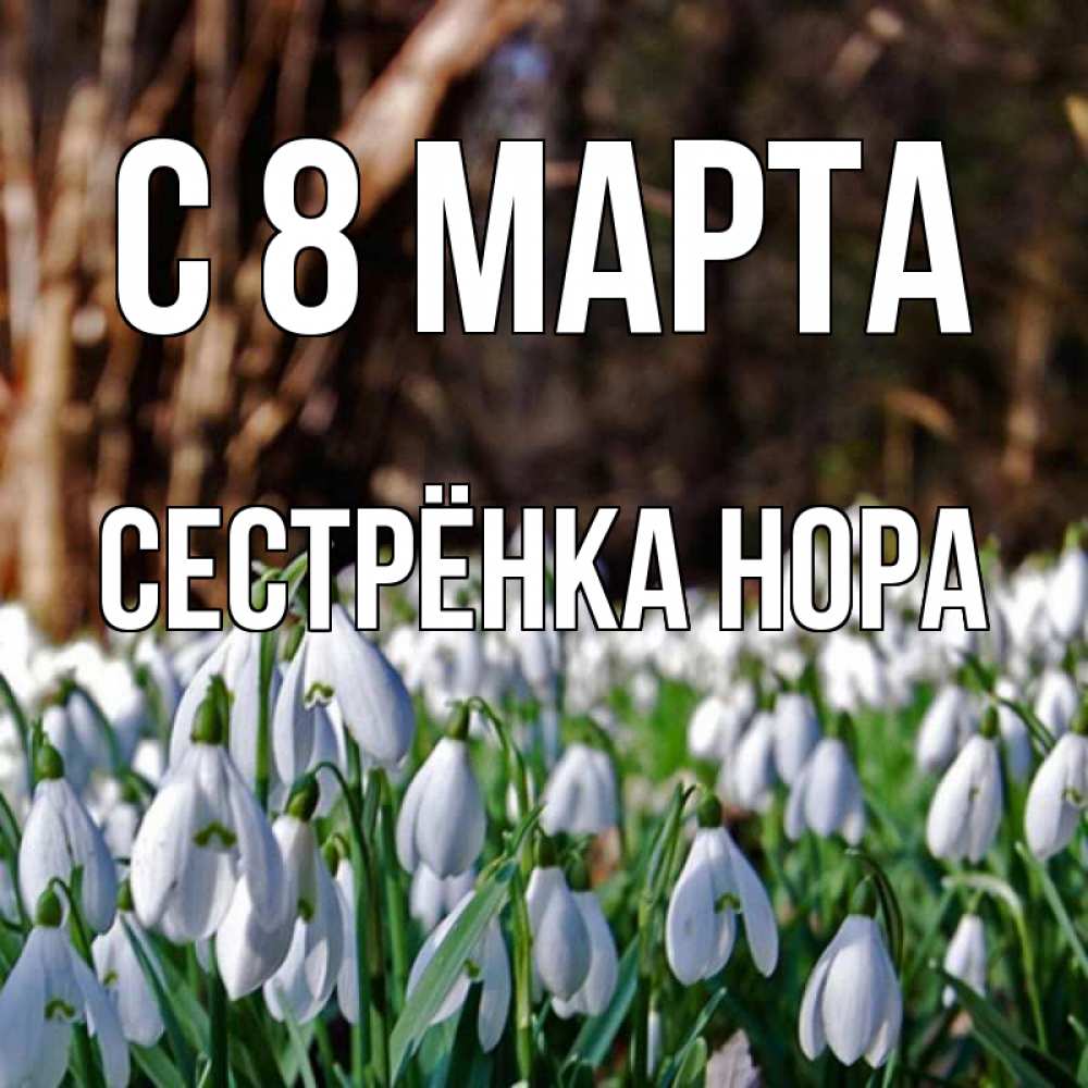 Открытка на каждый день с именем, Сестрёнка-Нора С 8 МАРТА с подснежниками 1 Прикольная открытка с пожеланием онлайн скачать бесплатно 