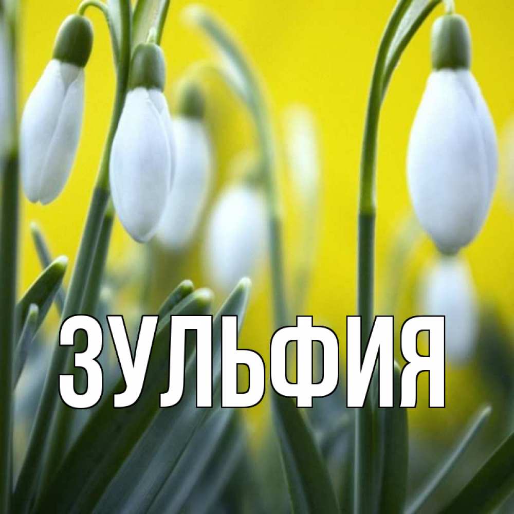 Красивая картинка с именем нателла, делать
