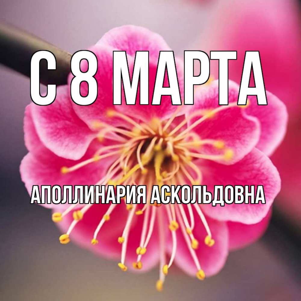 Картинка С 8 МАРТА, Аполлинария Аскольдовна