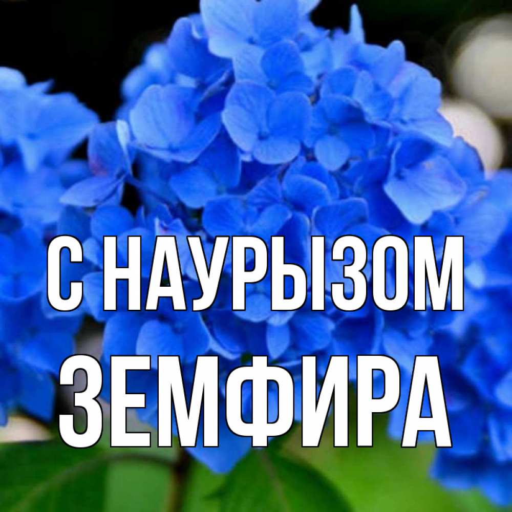 Открытка на каждый день с именем, Земфира С наурызом синие цветы Прикольная открытка с пожеланием онлайн скачать бесплатно 
