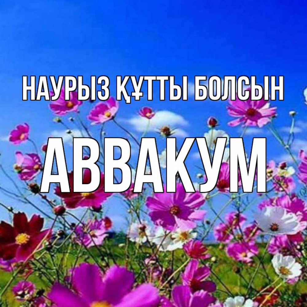 Открытка на каждый день с именем, Аввакум Наурыз құтты болсын цветы Прикольная открытка с пожеланием онлайн скачать бесплатно 