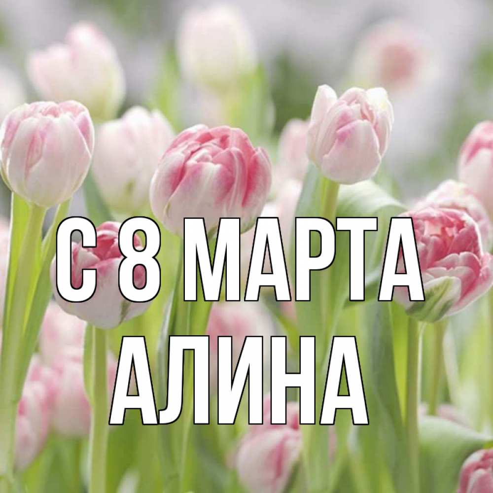 Открытка на каждый день с именем, Алина С 8 марта цветы Прикольная открытка с пожеланием онлайн скачать бесплатно 