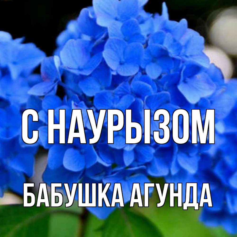 Открытка на каждый день с именем, Бабушка-Агунда С наурызом синие цветы Прикольная открытка с пожеланием онлайн скачать бесплатно 