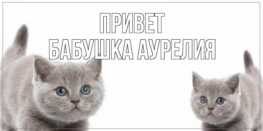 Открытка на каждый день с именем, Бабушка-Аурелия Привет коты Прикольная открытка с пожеланием онлайн скачать бесплатно 