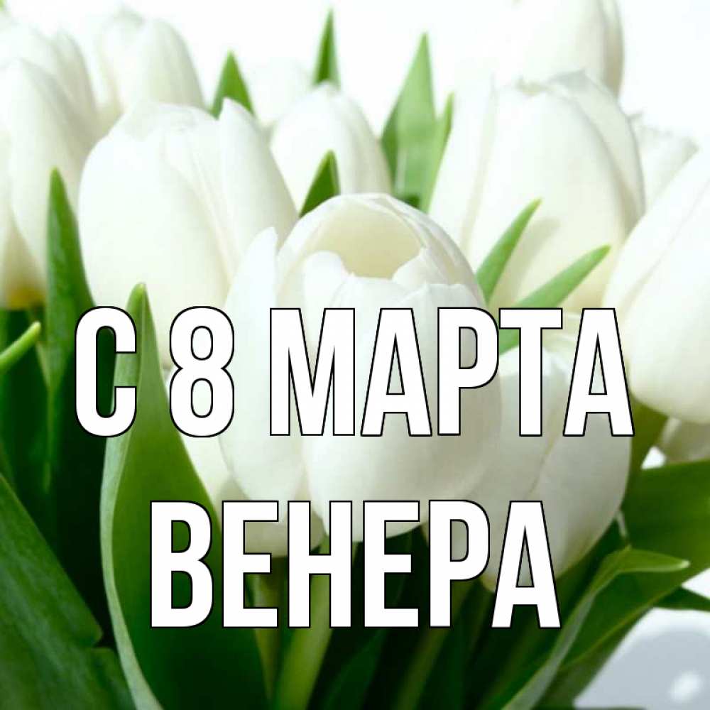 Открытка на каждый день с именем, Венера С 8 МАРТА цветы Прикольная открытка с пожеланием онлайн скачать бесплатно 