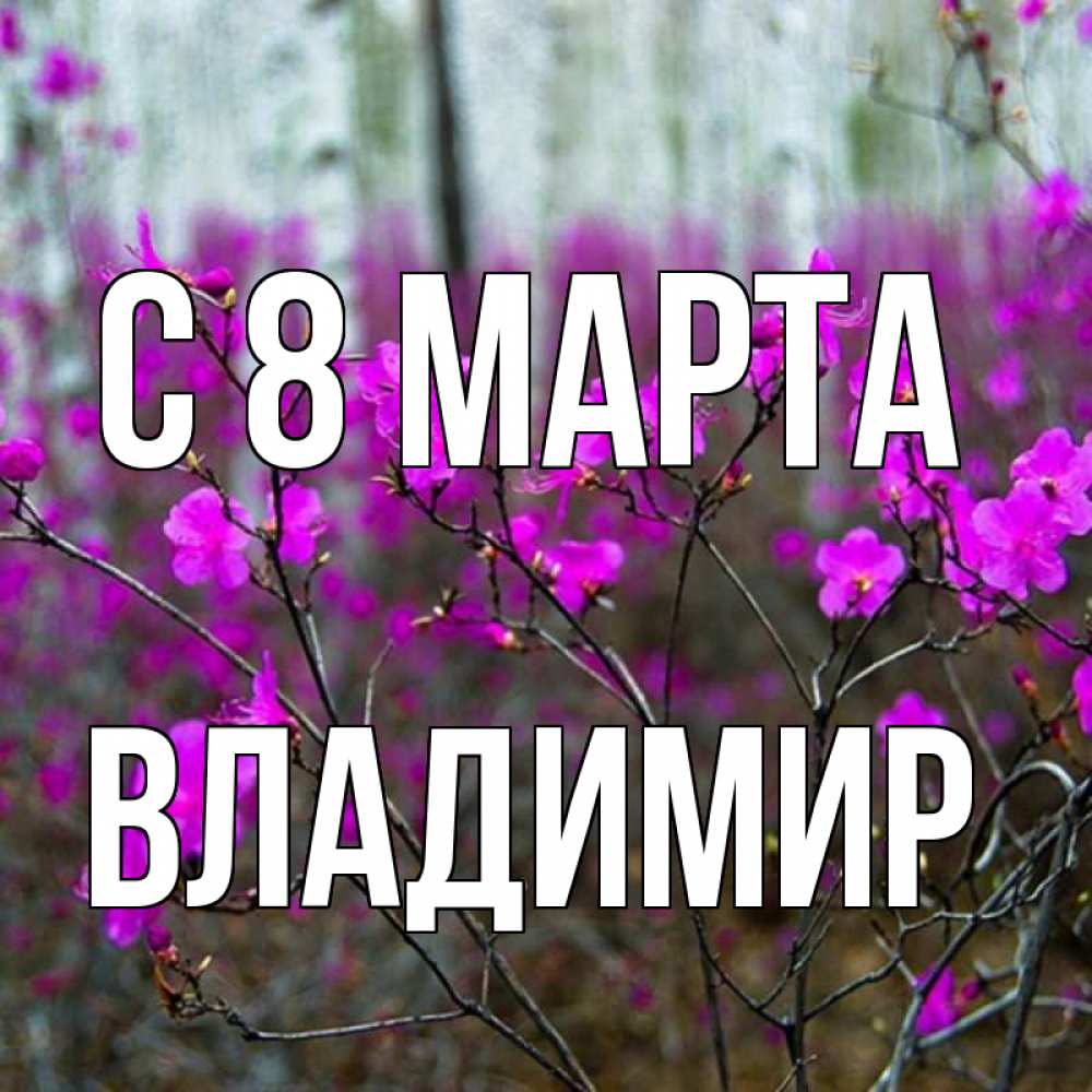 Открытка на каждый день с именем, Владимир С 8 МАРТА дикие цветы Прикольная открытка с пожеланием онлайн скачать бесплатно 