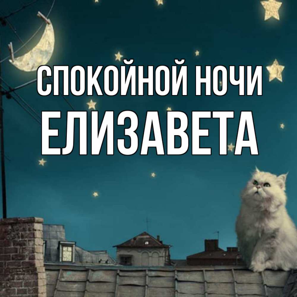 Открытка на каждый день с именем, Елизавета Спокойной ночи белый кот сидит на крыше Прикольная открытка с пожеланием онлайн скачать бесплатно 