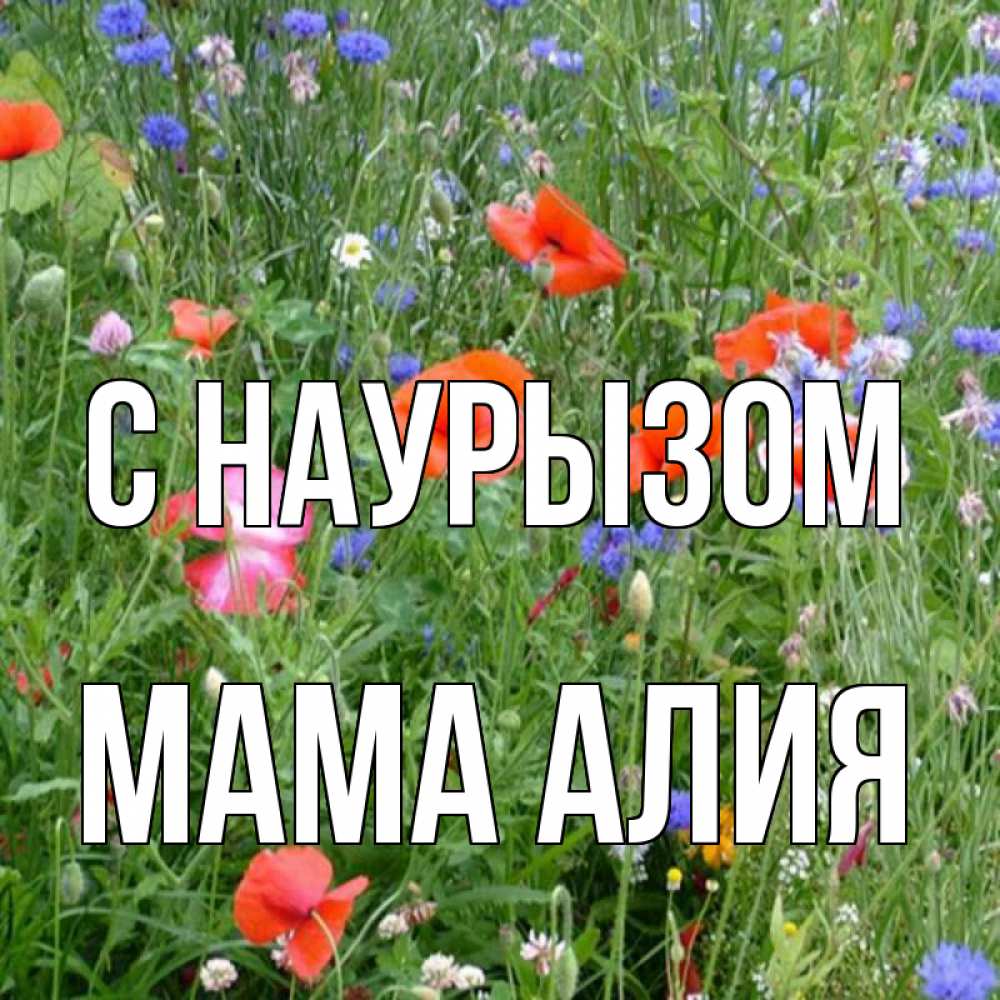 Открытка на каждый день с именем, Мама-Алия С наурызом праздник весны наурыз супер открытка Прикольная открытка с пожеланием онлайн скачать бесплатно 