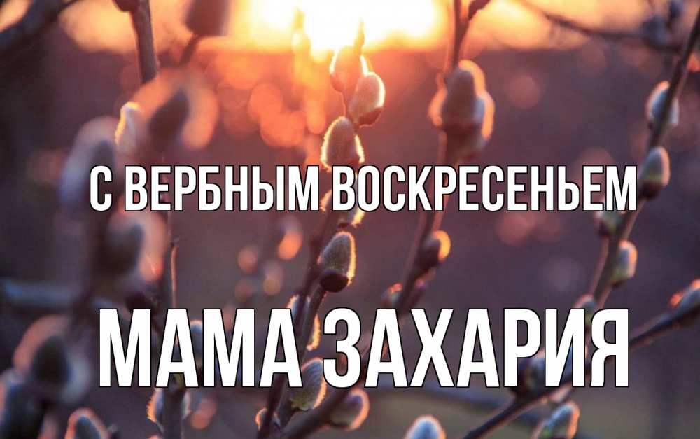 Открытка на каждый день с именем, Мама-Захария С вербным воскресеньем верба Прикольная открытка с пожеланием онлайн скачать бесплатно 