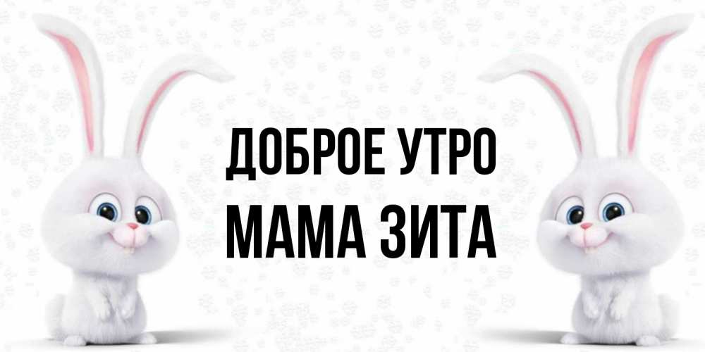 Открытка на каждый день с именем, Мама-Зита Доброе утро кролики с длинными ушками Прикольная открытка с пожеланием онлайн скачать бесплатно 