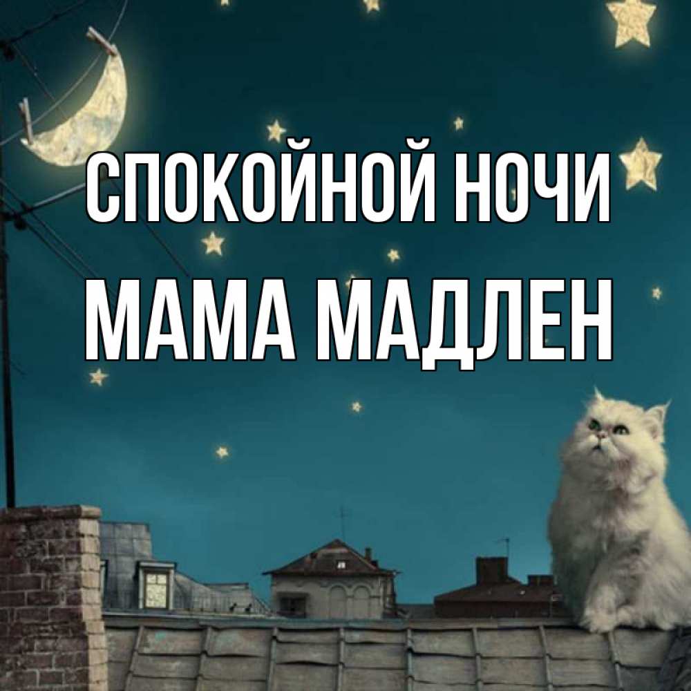 Открытка на каждый день с именем, Мама-Мадлен Спокойной ночи белый кот сидит на крыше Прикольная открытка с пожеланием онлайн скачать бесплатно 