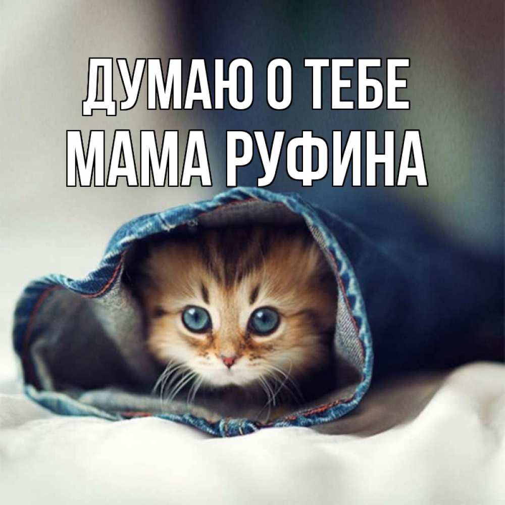 Открытка на каждый день с именем, Мама-Руфина Думаю о тебе мне без тебя плохо Прикольная открытка с пожеланием онлайн скачать бесплатно 