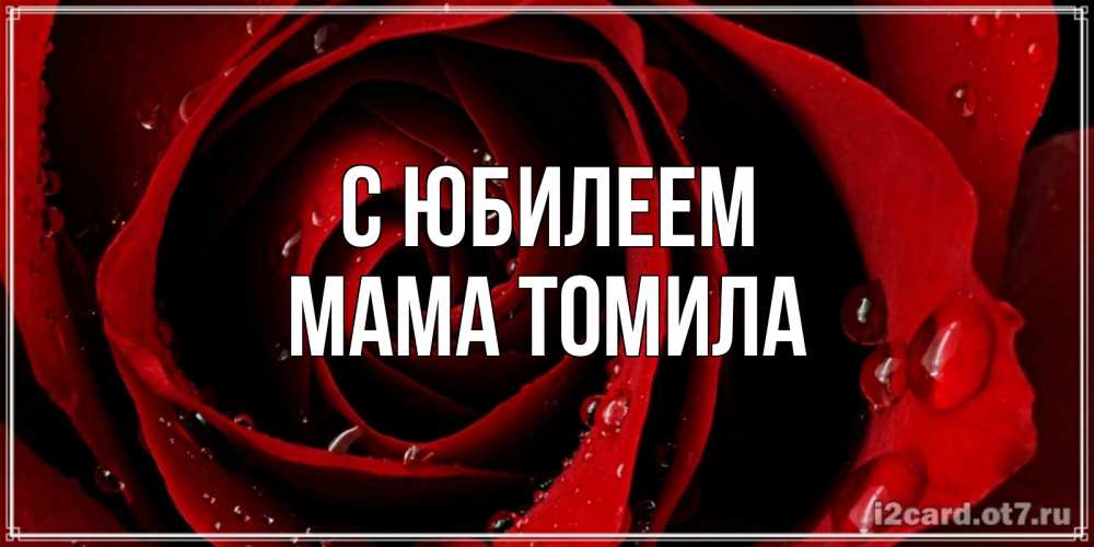 Открытка на каждый день с именем, Мама-Томила С юбилеем крупная бордовая роза Прикольная открытка с пожеланием онлайн скачать бесплатно 