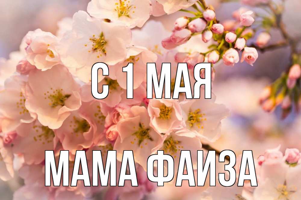 Открытка на каждый день с именем, Мама-Фаиза С 1 мая С 1 мая Прикольная открытка с пожеланием онлайн скачать бесплатно 