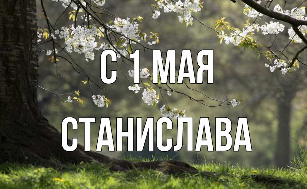 Открытка на каждый день с именем, Станислава С 1 мая С 1 мая Прикольная открытка с пожеланием онлайн скачать бесплатно 