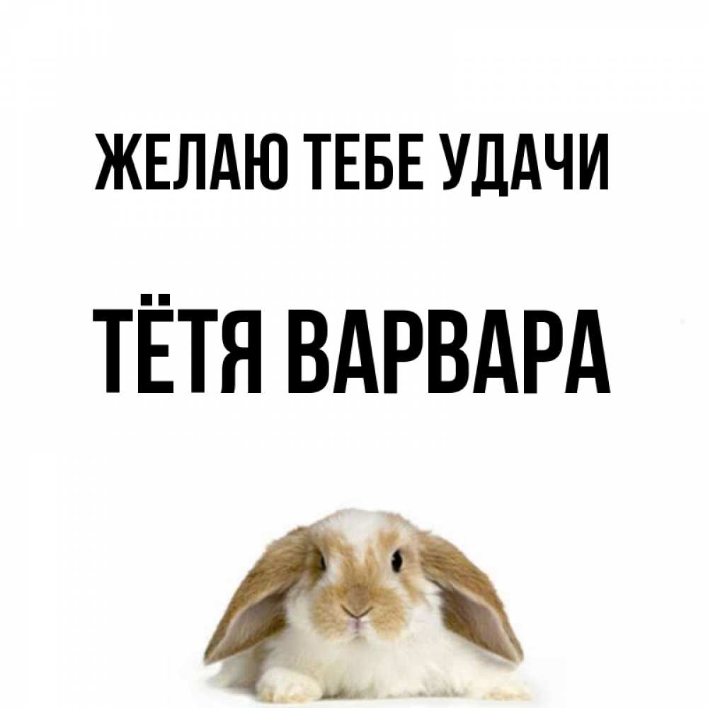 Открытка на каждый день с именем, Тётя-Варвара Желаю тебе удачи открытки с произвольным текстом который можно вставить в открытку и создать ее самостоятельно бесплатно онлайн Прикольная открытка с пожеланием онлайн скачать бесплатно 