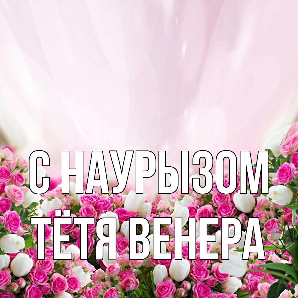 Открытка на каждый день с именем, Тётя-Венера С наурызом под снегом Прикольная открытка с пожеланием онлайн скачать бесплатно 