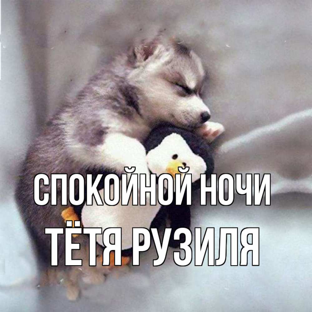 Открытка на каждый день с именем, Тётя-Рузиля Спокойной ночи обнимашки щенка и пингвина Прикольная открытка с пожеланием онлайн скачать бесплатно 