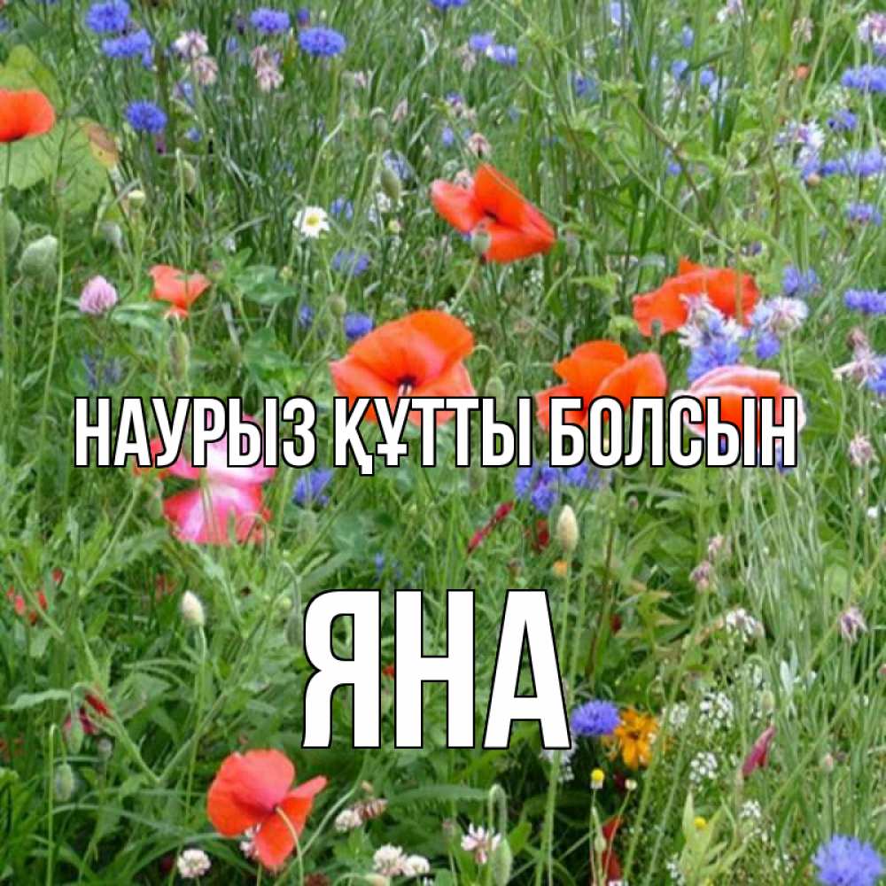 Открытка на каждый день с именем, Яна Наурыз құтты болсын наурыз  4 Прикольная открытка с пожеланием онлайн скачать бесплатно 