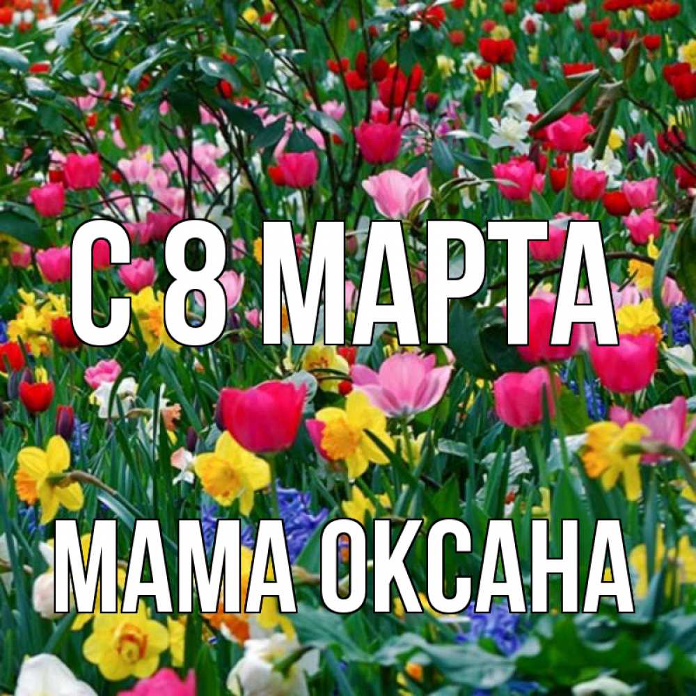 Открытка на каждый день с именем, Мама-Оксана С 8 МАРТА с международным женским днем поздравления для женщины Прикольная открытка с пожеланием онлайн скачать бесплатно 