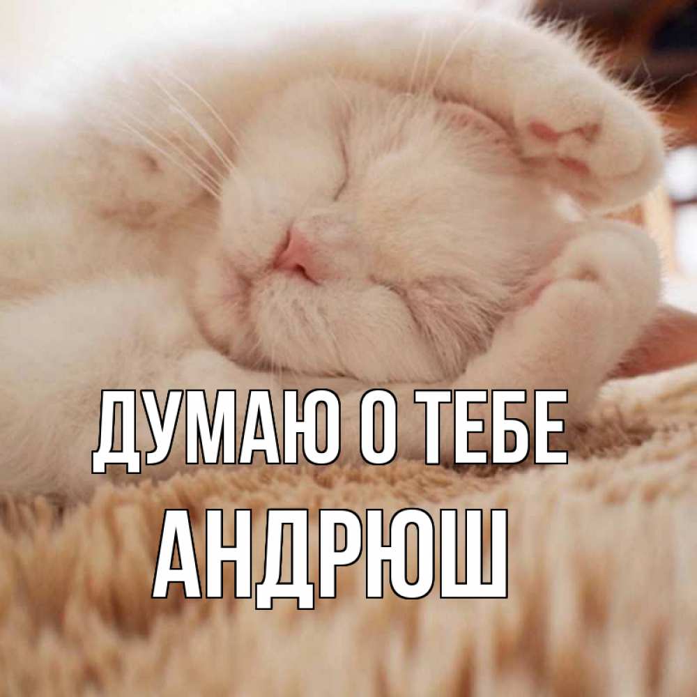 Люблю тебя андрюша картинки