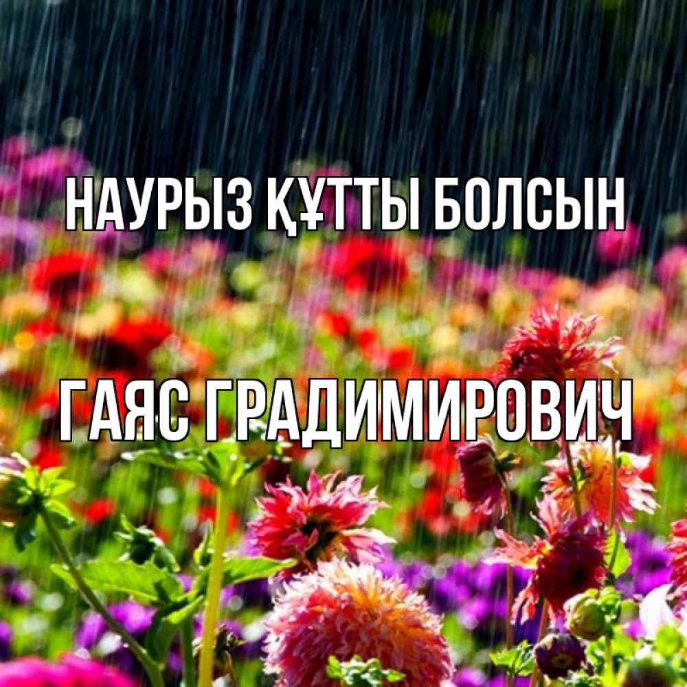 Открытка на каждый день с именем, Гаяс-Градимирович Наурыз құтты болсын цветы под дождиком к наурызу Прикольная открытка с пожеланием онлайн скачать бесплатно 