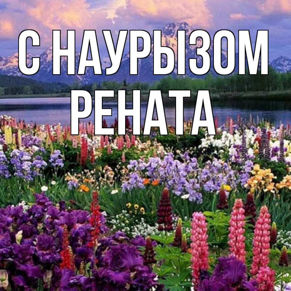 Открытка на каждый день с именем, Рената С наурызом праздник весны наурыз Прикольная открытка с пожеланием онлайн скачать бесплатно 