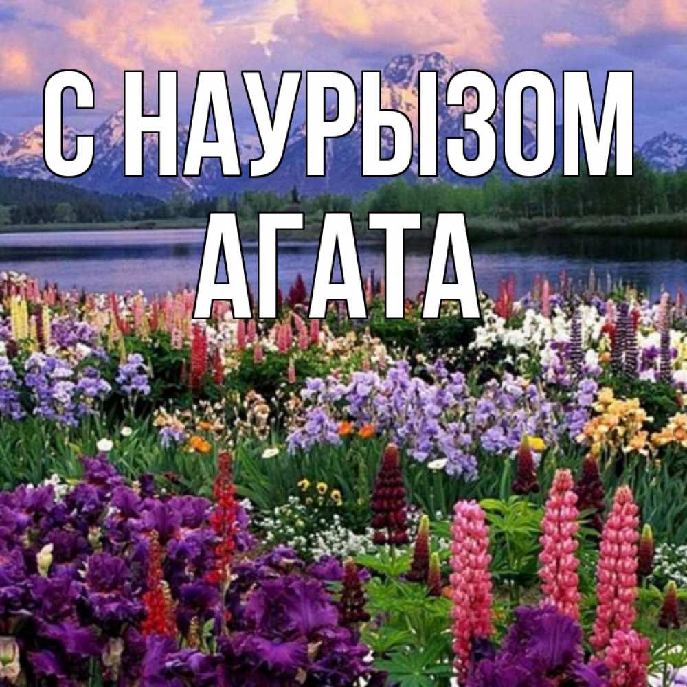 Открытка на каждый день с именем, Агата С наурызом праздник весны наурыз Прикольная открытка с пожеланием онлайн скачать бесплатно 