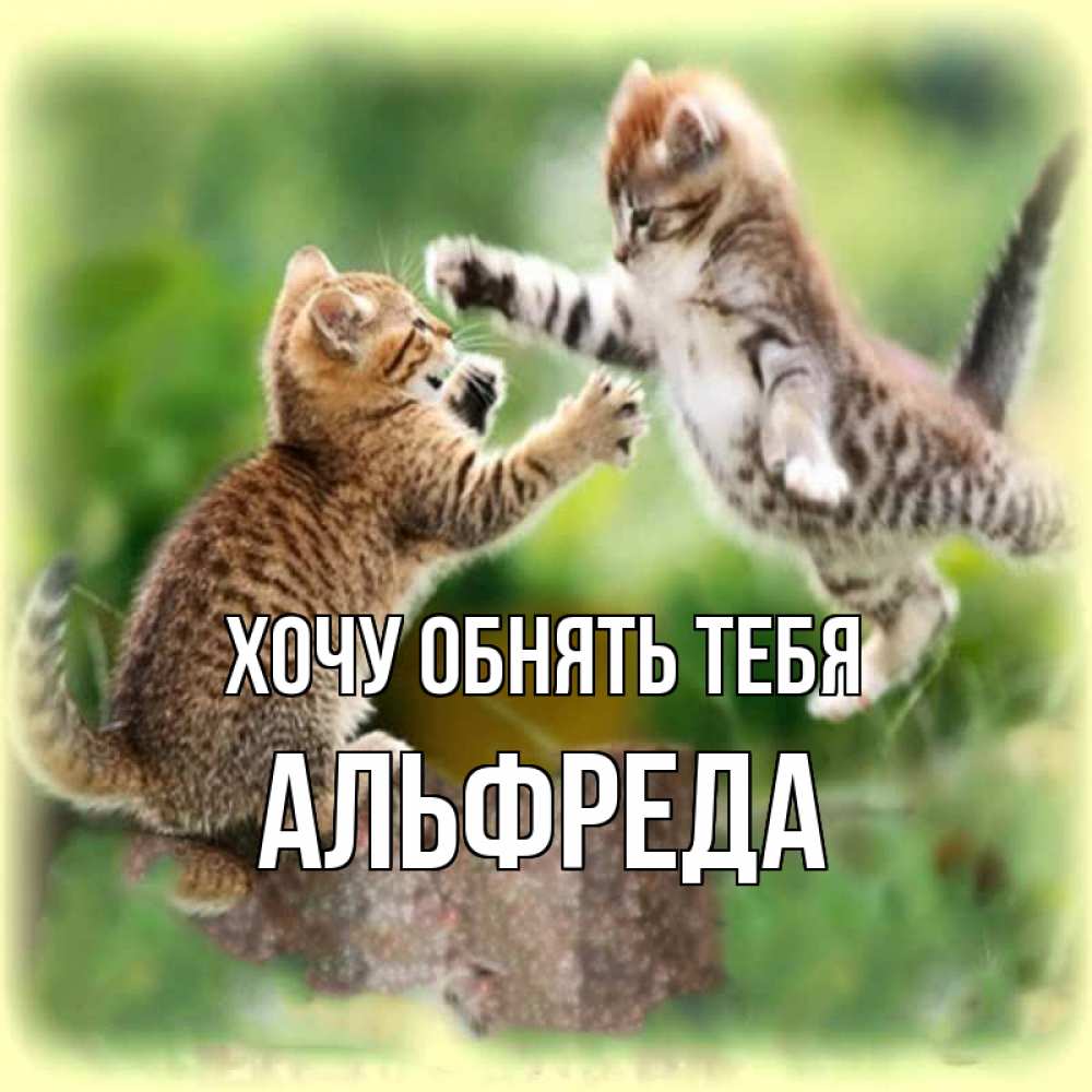 Открытка на каждый день с именем, Альфреда Хочу обнять тебя игры котят Прикольная открытка с пожеланием онлайн скачать бесплатно 