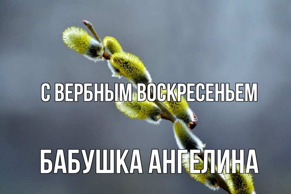 Открытка на каждый день с именем, Бабушка-Ангелина С вербным воскресеньем верба Прикольная открытка с пожеланием онлайн скачать бесплатно 