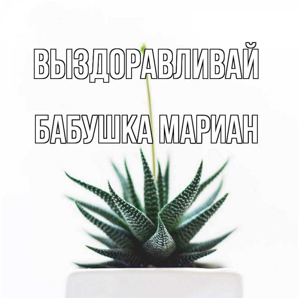 Открытка на каждый день с именем, Бабушка-Мариан Выздоравливай короче это непонятная колючка Прикольная открытка с пожеланием онлайн скачать бесплатно 