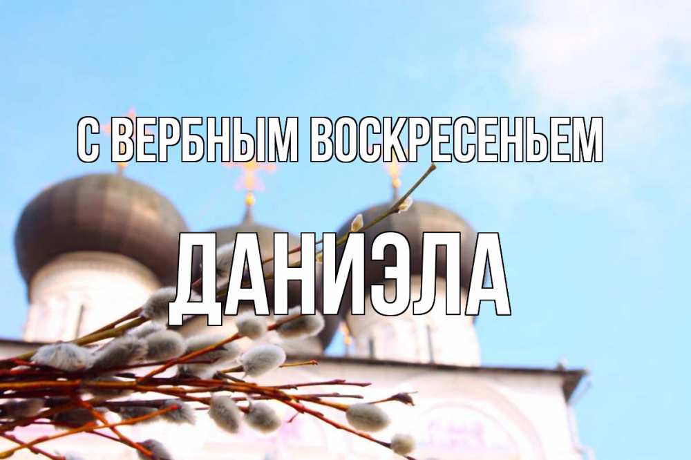 Открытка на каждый день с именем, Даниэла С вербным воскресеньем верба Прикольная открытка с пожеланием онлайн скачать бесплатно 