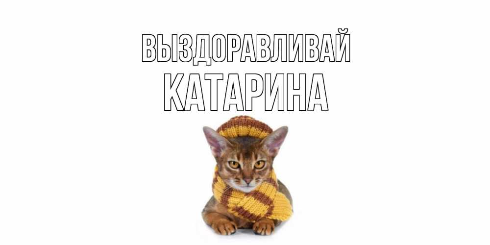 Открытка на каждый день с именем, Катарина Выздоравливай родные не болейте Прикольная открытка с пожеланием онлайн скачать бесплатно 