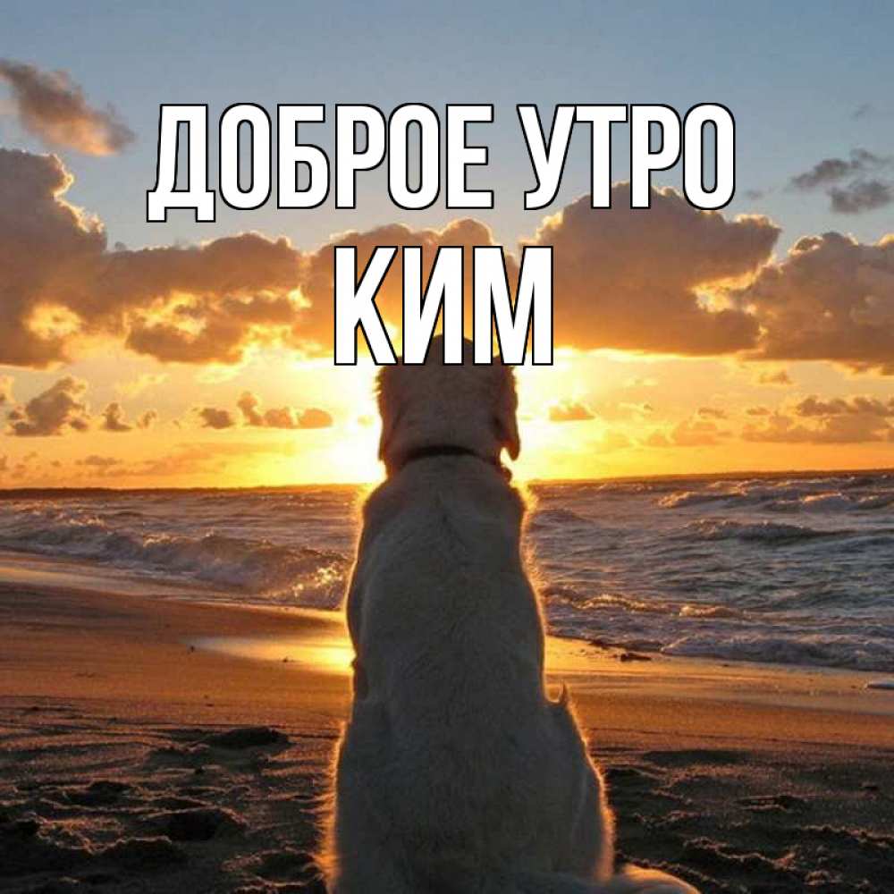 Открытка на каждый день с именем, Ким Доброе утро восход солнца Прикольная открытка с пожеланием онлайн скачать бесплатно 