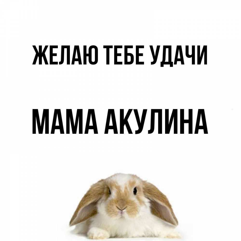 Открытка на каждый день с именем, Мама-Акулина Желаю тебе удачи открытки с произвольным текстом который можно вставить в открытку и создать ее самостоятельно бесплатно онлайн Прикольная открытка с пожеланием онлайн скачать бесплатно 