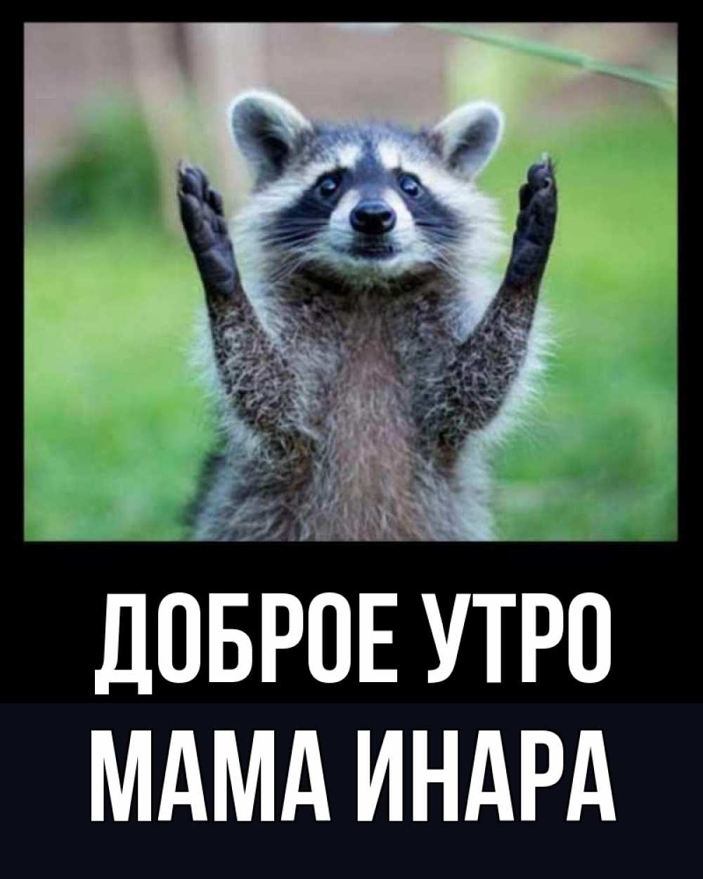 Открытка на каждый день с именем, Мама-Инара Доброе утро хорошее настроение утречком Прикольная открытка с пожеланием онлайн скачать бесплатно 