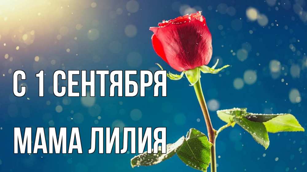 Открытка на каждый день с именем, Мама-Лилия С 1 сентября с днем знаний Прикольная открытка с пожеланием онлайн скачать бесплатно 