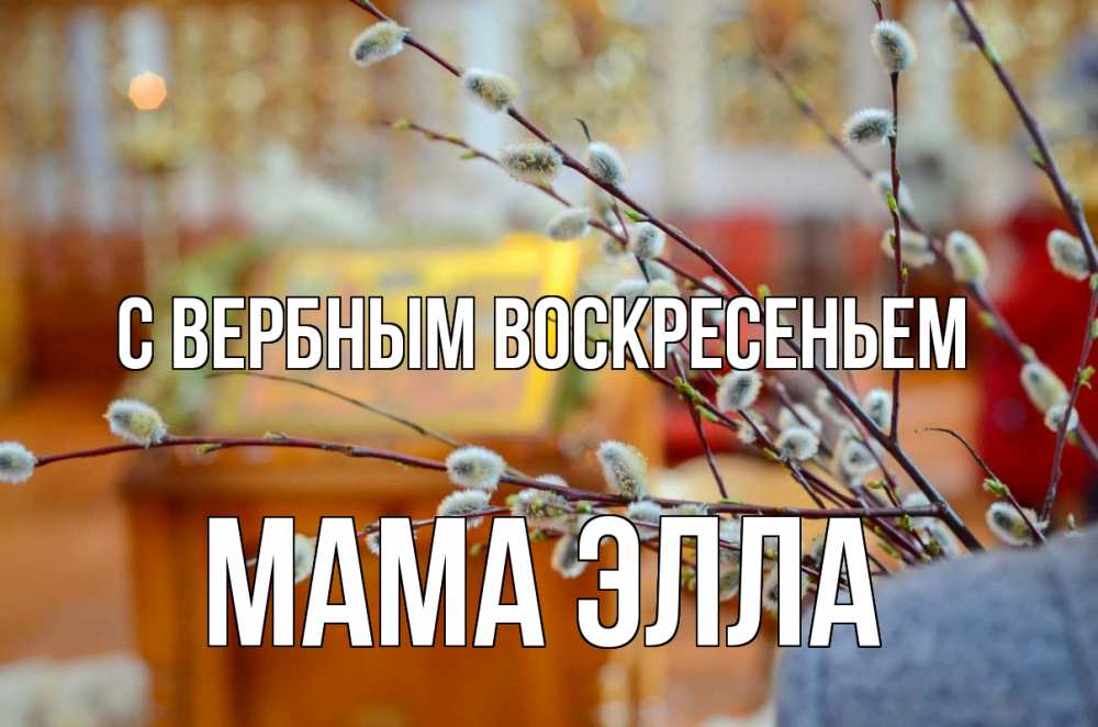 Открытка на каждый день с именем, Мама-Элла С вербным воскресеньем верба Прикольная открытка с пожеланием онлайн скачать бесплатно 