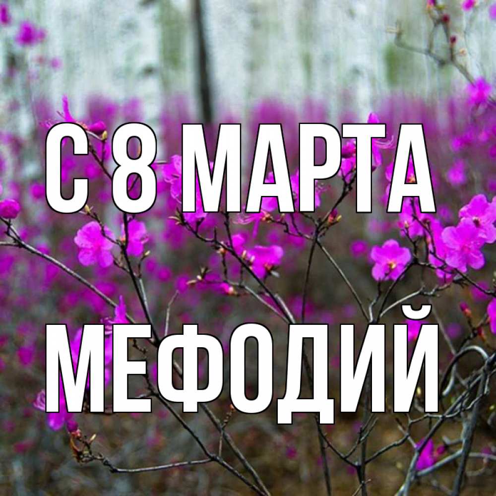 Открытка на каждый день с именем, Мефодий С 8 МАРТА дикие цветы Прикольная открытка с пожеланием онлайн скачать бесплатно 