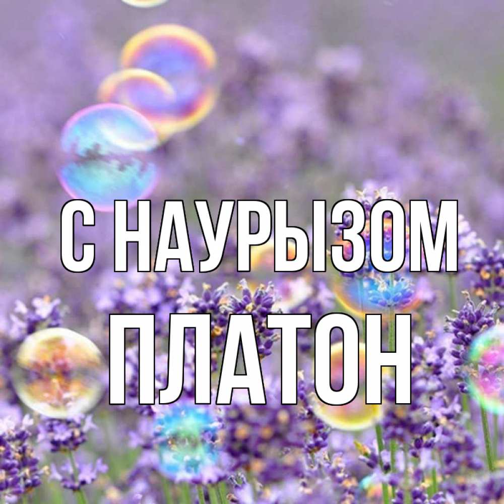 Открытка на каждый день с именем, Платон С наурызом цветы Прикольная открытка с пожеланием онлайн скачать бесплатно 