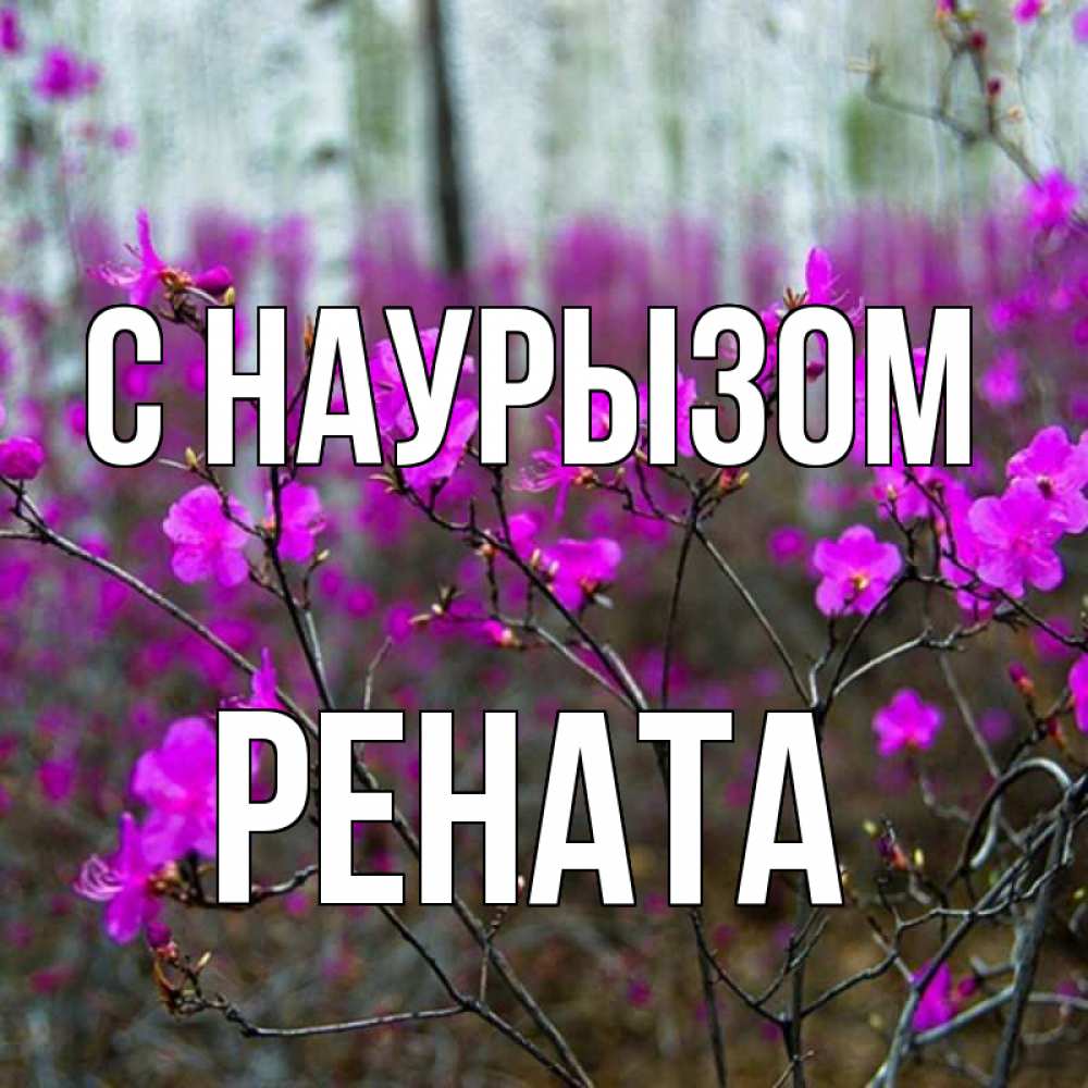 Открытка на каждый день с именем, Рената С наурызом дикие цветы Прикольная открытка с пожеланием онлайн скачать бесплатно 