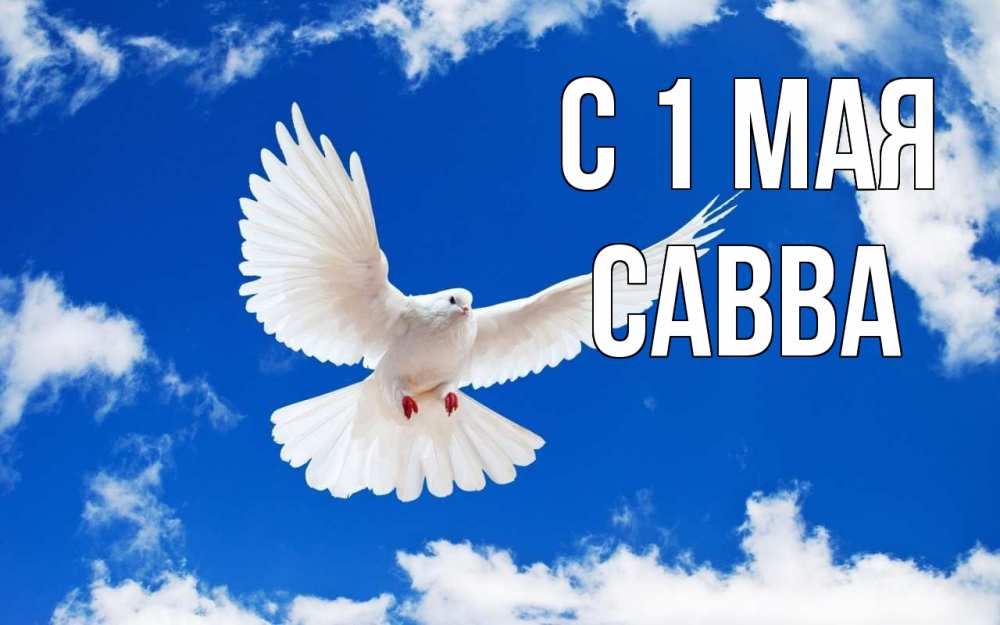 Открытка на каждый день с именем, Савва С 1 мая С 1 мая 1 Прикольная открытка с пожеланием онлайн скачать бесплатно 