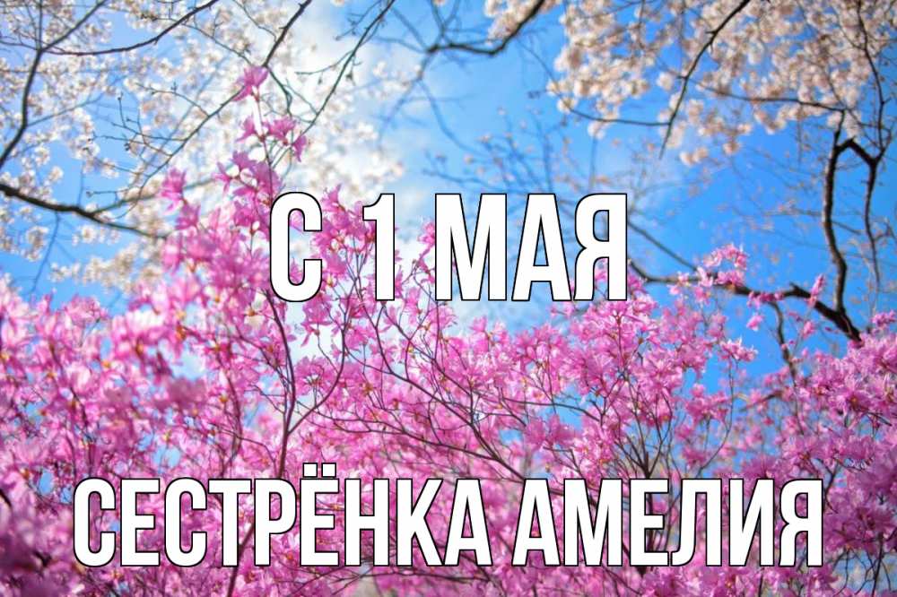 Открытка на каждый день с именем, Сестрёнка-Амелия С 1 мая С 1 мая Прикольная открытка с пожеланием онлайн скачать бесплатно 