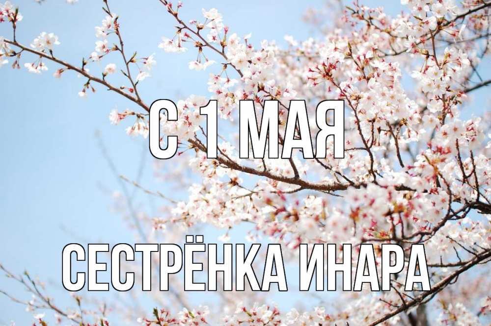 Открытка на каждый день с именем, Сестрёнка-Инара С 1 мая С 1 мая Прикольная открытка с пожеланием онлайн скачать бесплатно 