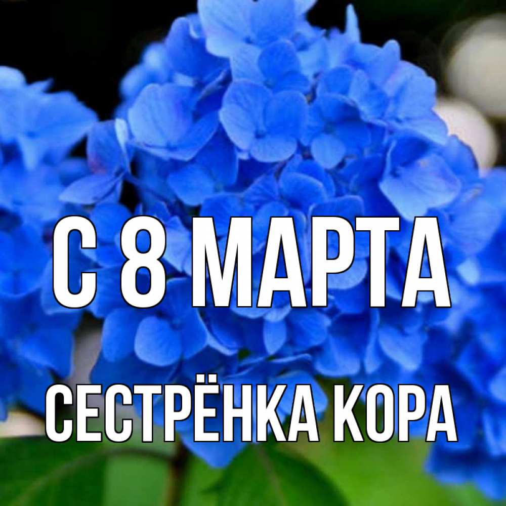 Открытка на каждый день с именем, Сестрёнка-Кора С 8 МАРТА синие цветы Прикольная открытка с пожеланием онлайн скачать бесплатно 
