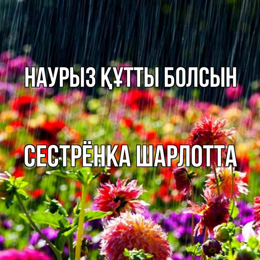 Открытка на каждый день с именем, Сестрёнка-Шарлотта Наурыз құтты болсын цветы под дождиком к наурызу Прикольная открытка с пожеланием онлайн скачать бесплатно 