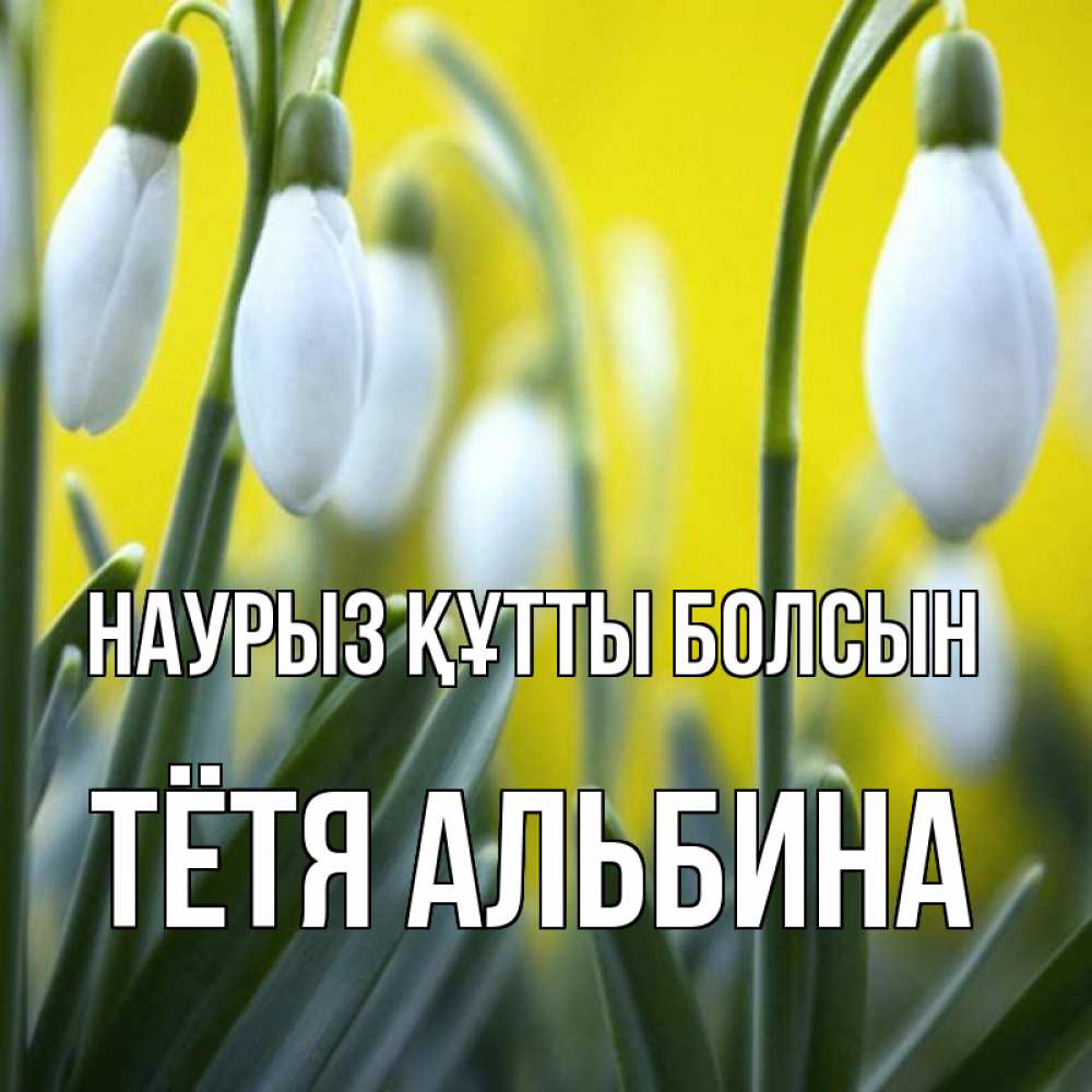 Открытка на каждый день с именем, Тётя-Альбина Наурыз құтты болсын весенние цветы Прикольная открытка с пожеланием онлайн скачать бесплатно 