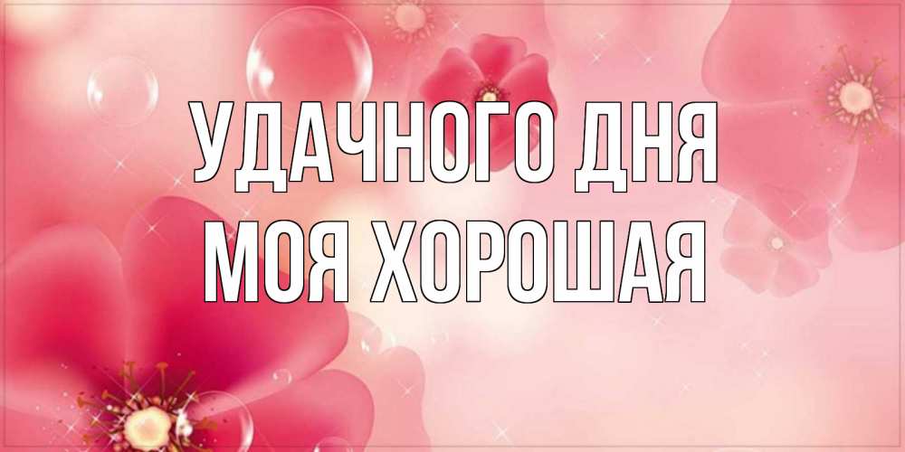 Открытка на каждый день с именем, моя-хорошая Удачного дня красивая открытка с цветами Прикольная открытка с пожеланием онлайн скачать бесплатно 