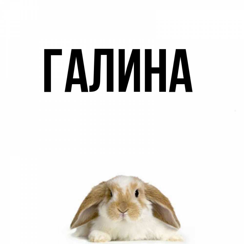 Открытка на каждый день с именем, Галина Главная подписать своими руками онлайн Прикольная открытка с пожеланием онлайн скачать бесплатно 